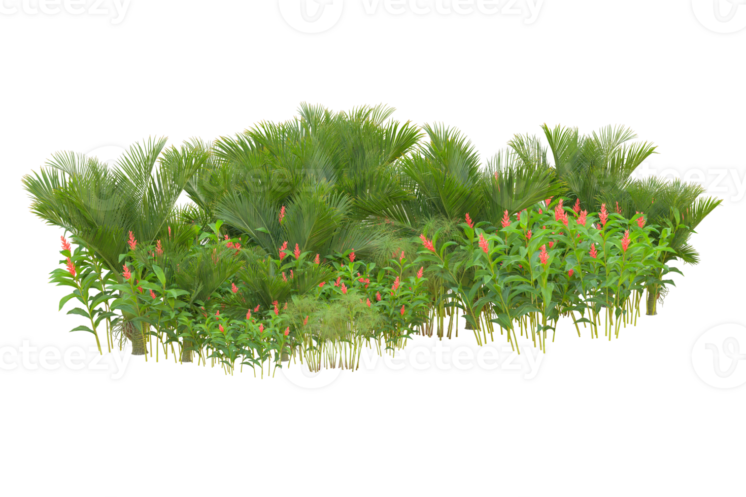 Tropical forest isolated on transparent background. 3d rendering - illustration png