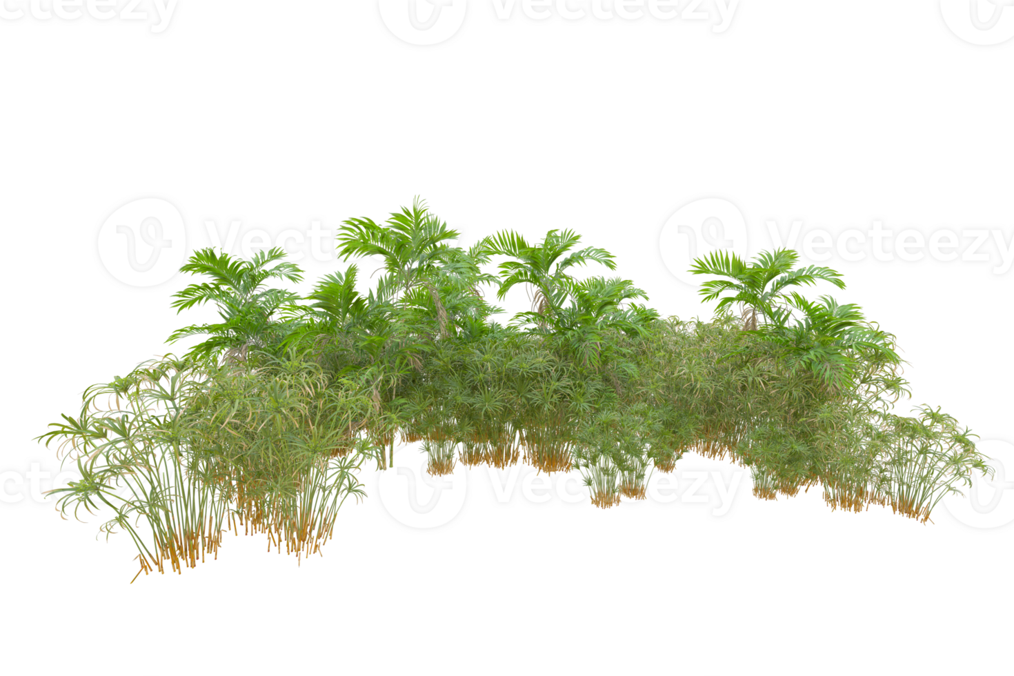 Tropical forest isolated on transparent background. 3d rendering - illustration png