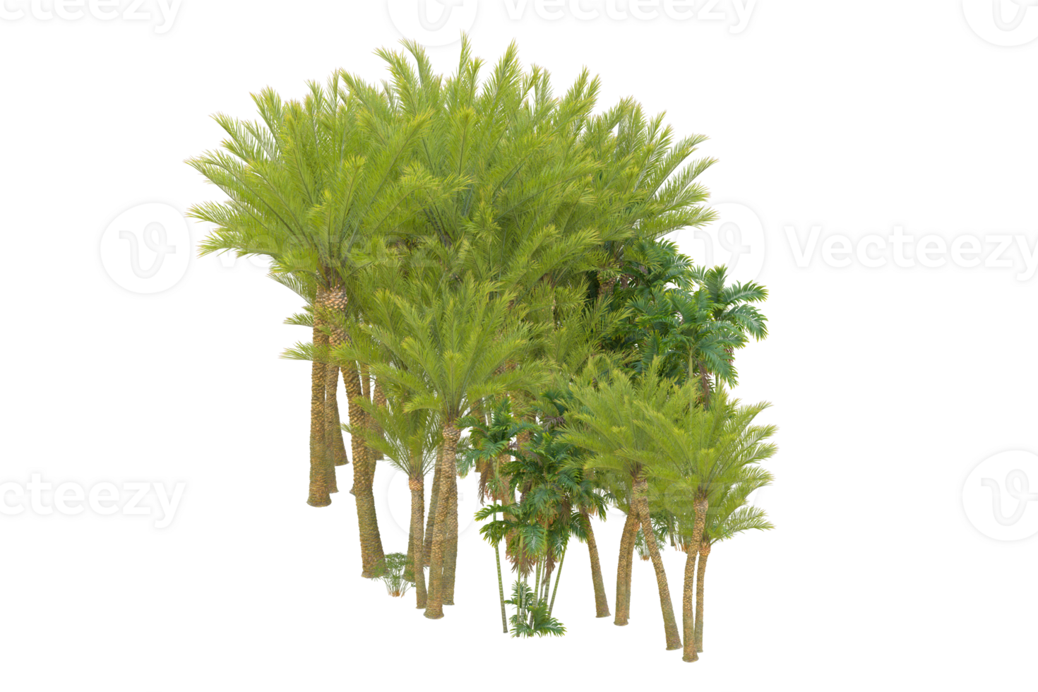 Realistic forest isolated on transparent background. 3d rendering - illustration png