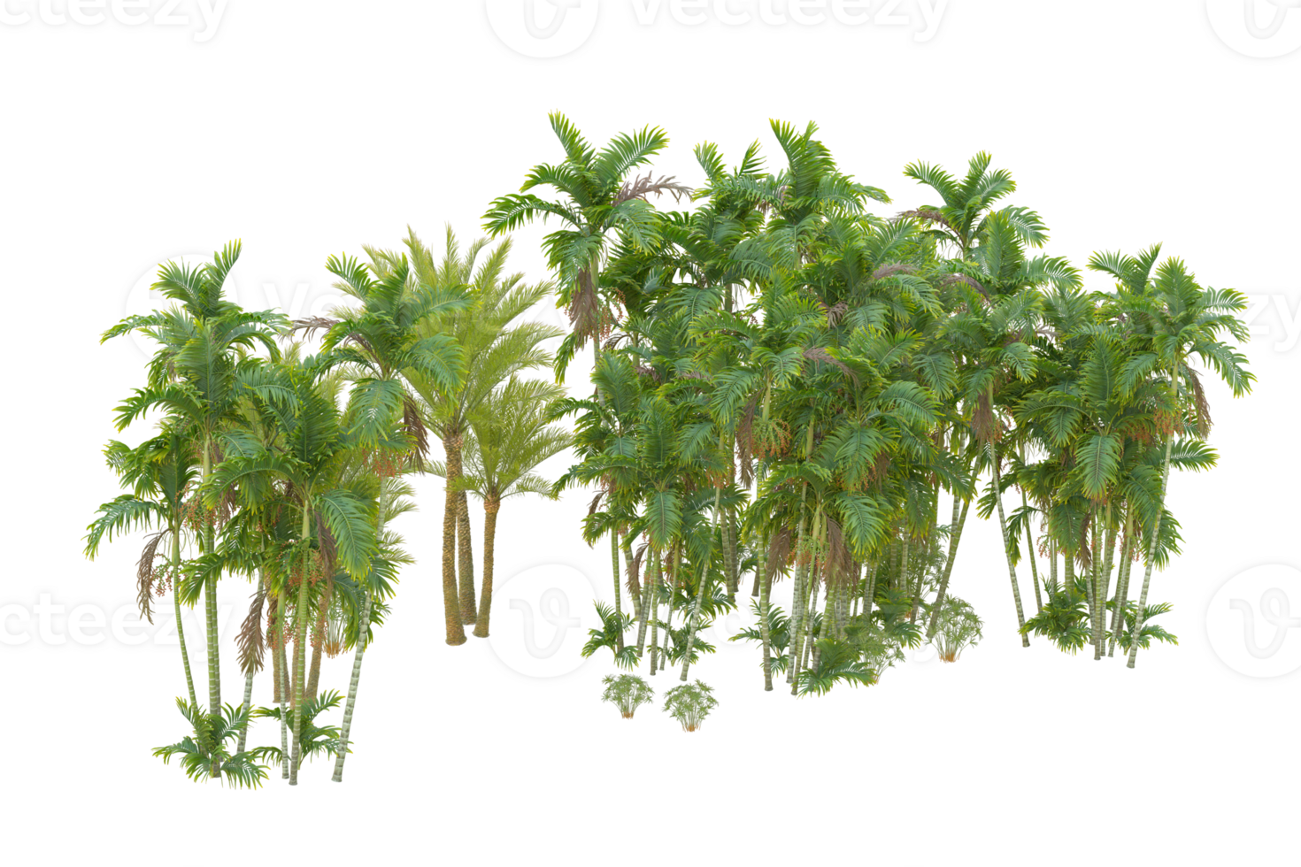 Realistic forest isolated on transparent background. 3d rendering - illustration png