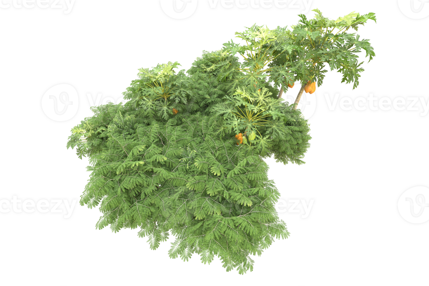 Realistic forest isolated on transparent background. 3d rendering - illustration png