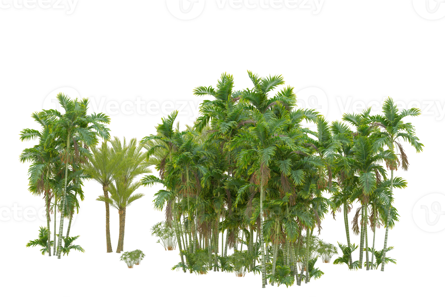 Realistic forest isolated on transparent background. 3d rendering - illustration png