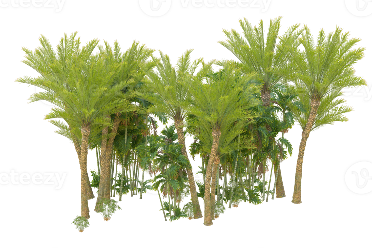 Realistic forest isolated on transparent background. 3d rendering - illustration png