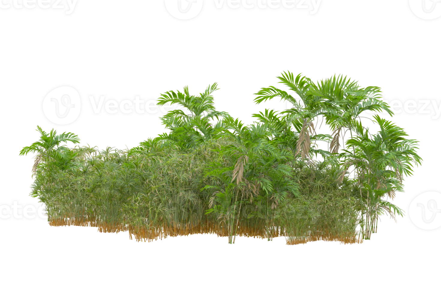 Tropical forest isolated on transparent background. 3d rendering - illustration png