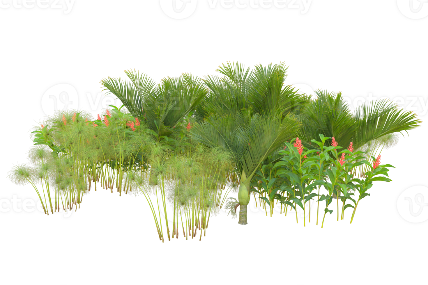 Tropical forest isolated on transparent background. 3d rendering - illustration png