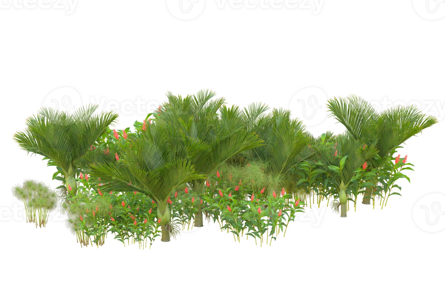 Tropical forest isolated on transparent background. 3d rendering - illustration png
