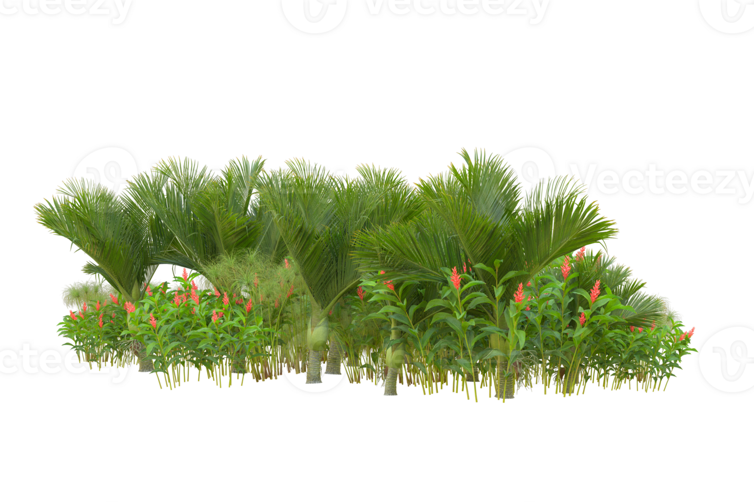 Tropical forest isolated on transparent background. 3d rendering - illustration png