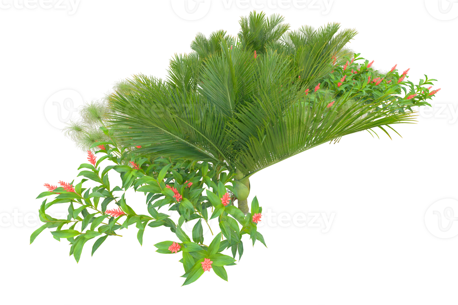 Tropical forest isolated on transparent background. 3d rendering - illustration png