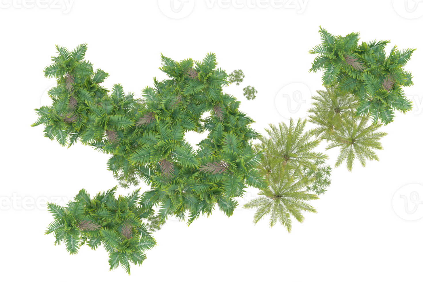 Realistic forest isolated on transparent background. 3d rendering - illustration png