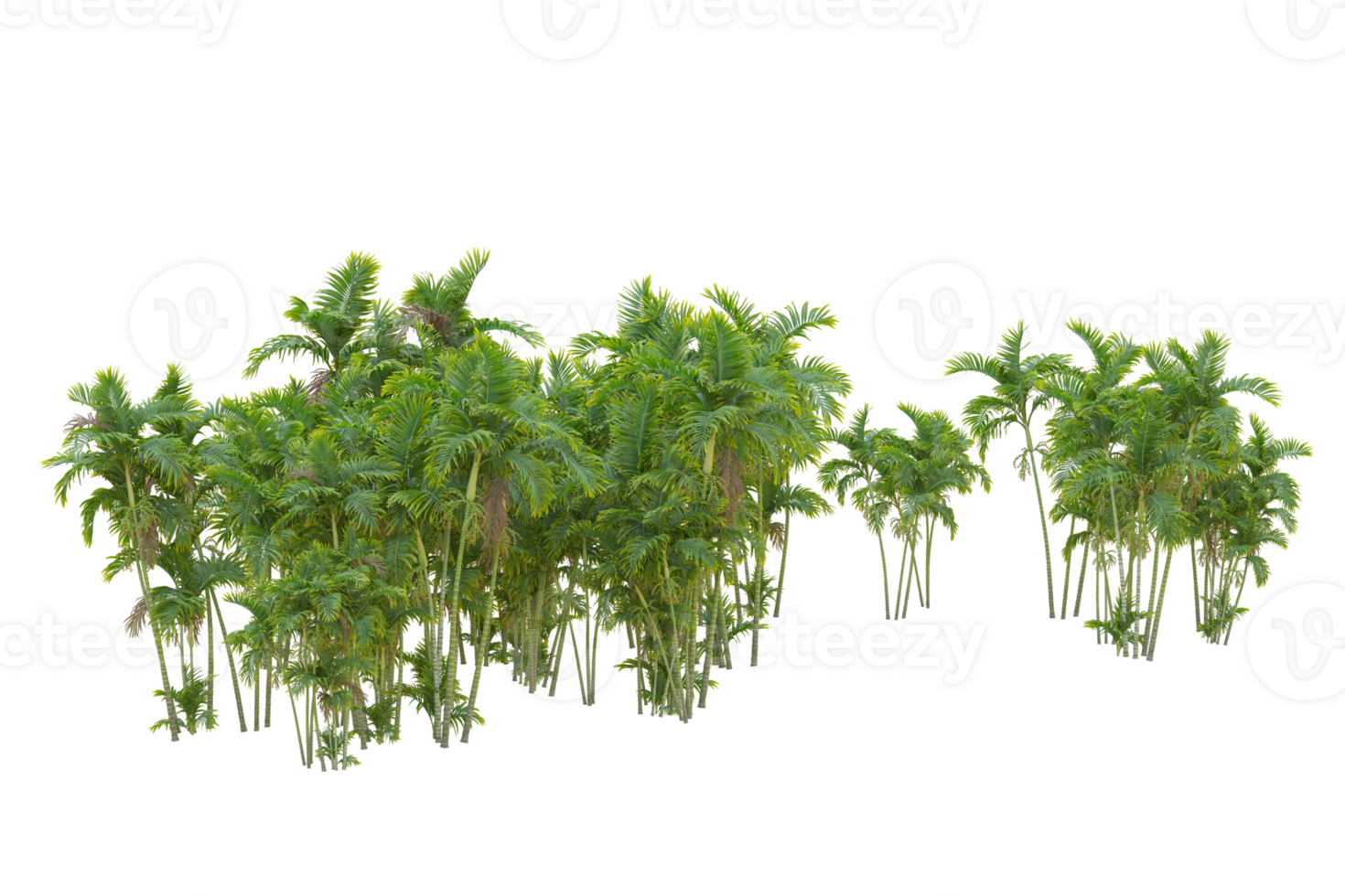 Tropical forest isolated on transparent background. 3d rendering - illustration png