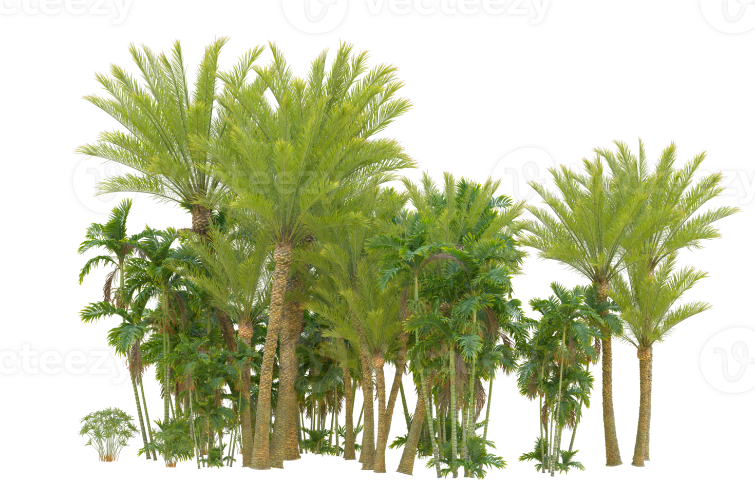 Realistic forest isolated on transparent background. 3d rendering - illustration png