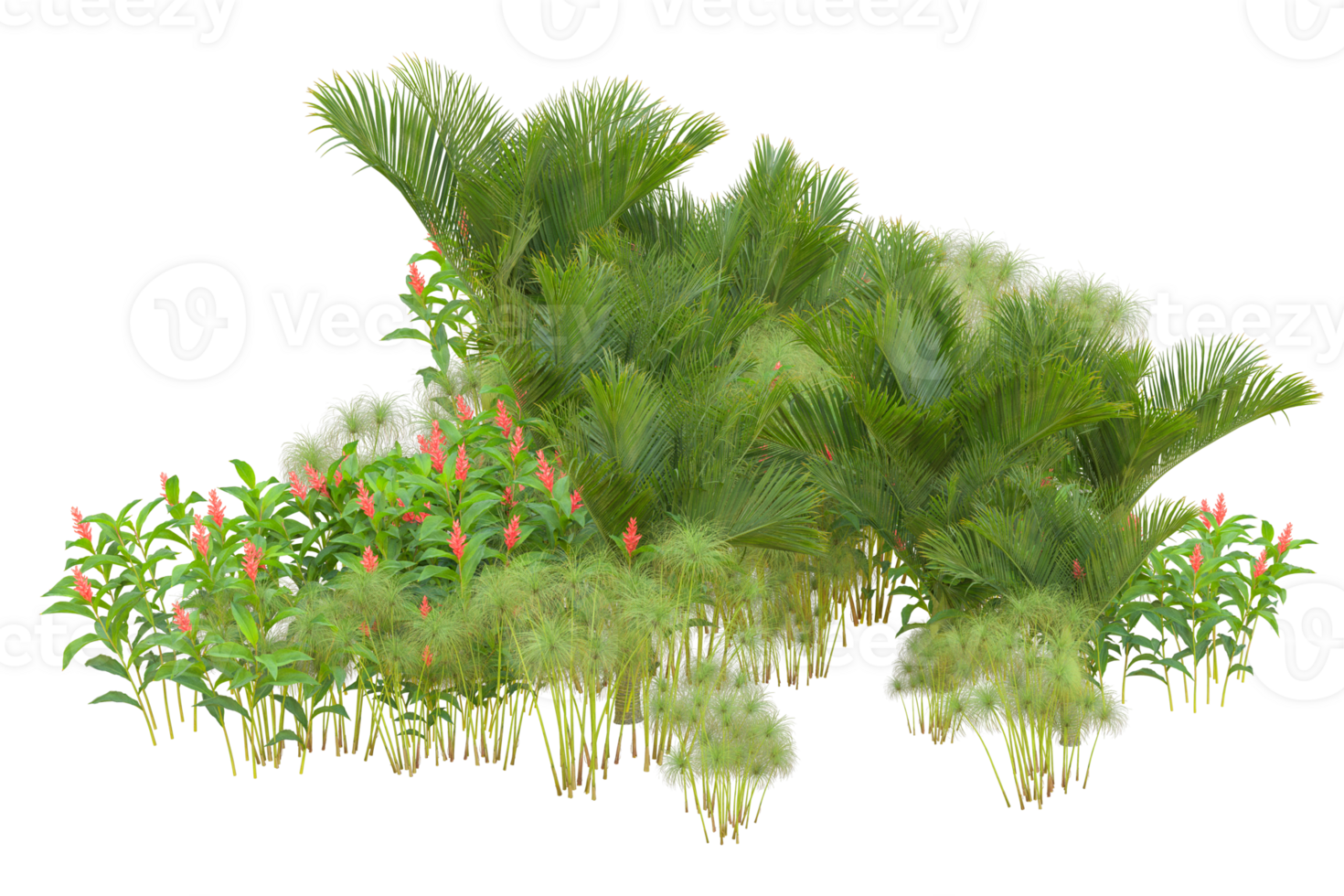 Tropical forest isolated on transparent background. 3d rendering - illustration png