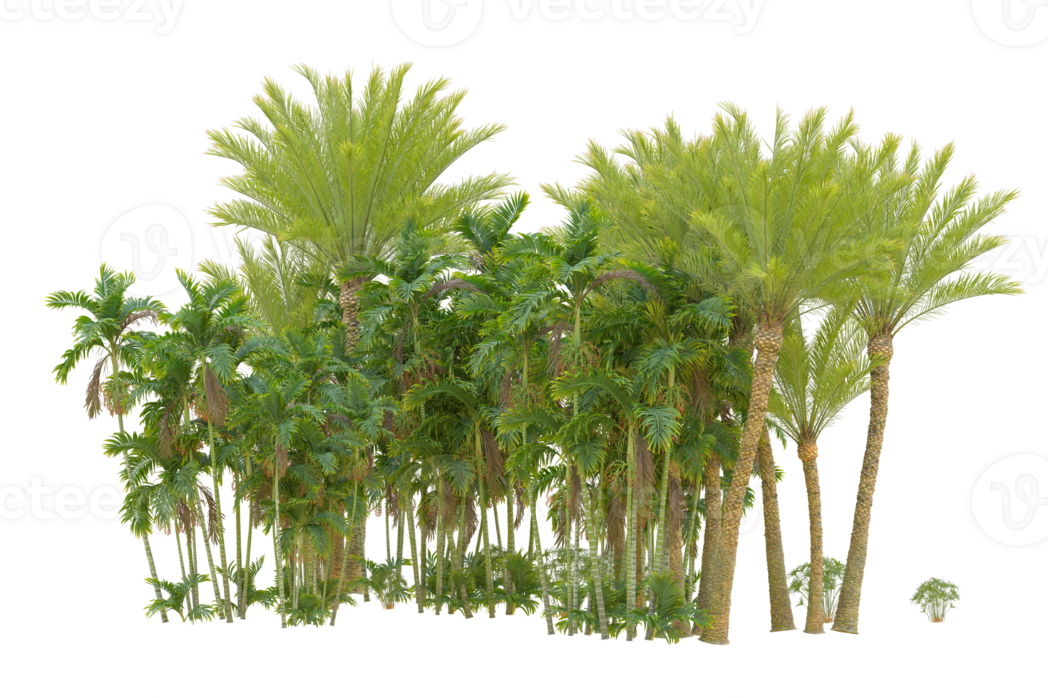 Realistic forest isolated on transparent background. 3d rendering - illustration png