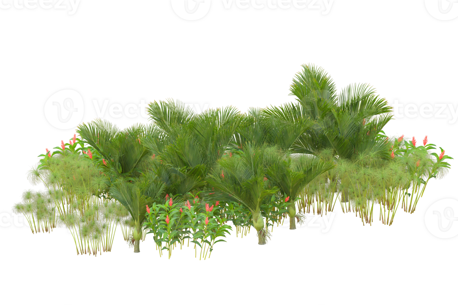 Tropical forest isolated on transparent background. 3d rendering - illustration png
