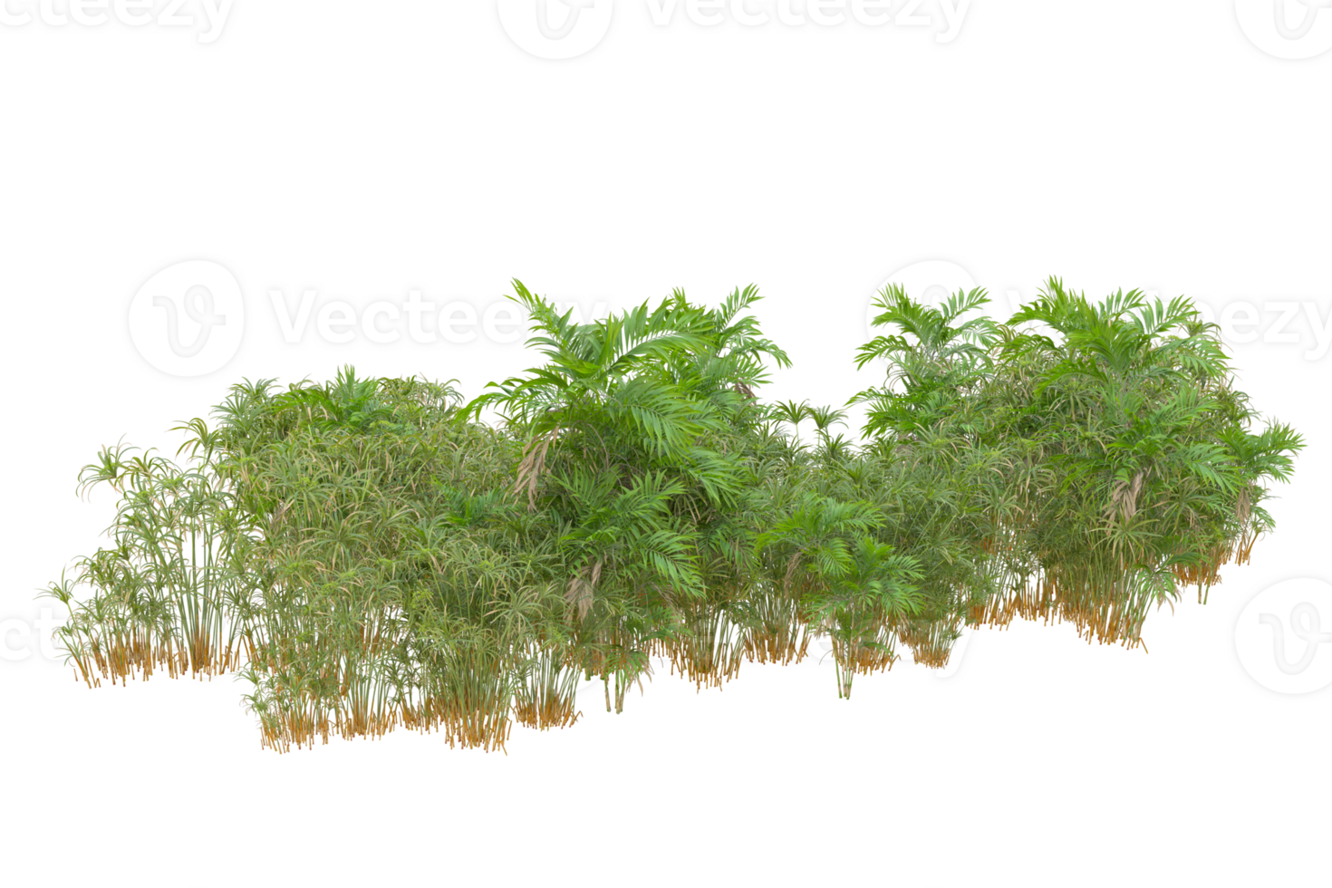 Tropical forest isolated on transparent background. 3d rendering - illustration png