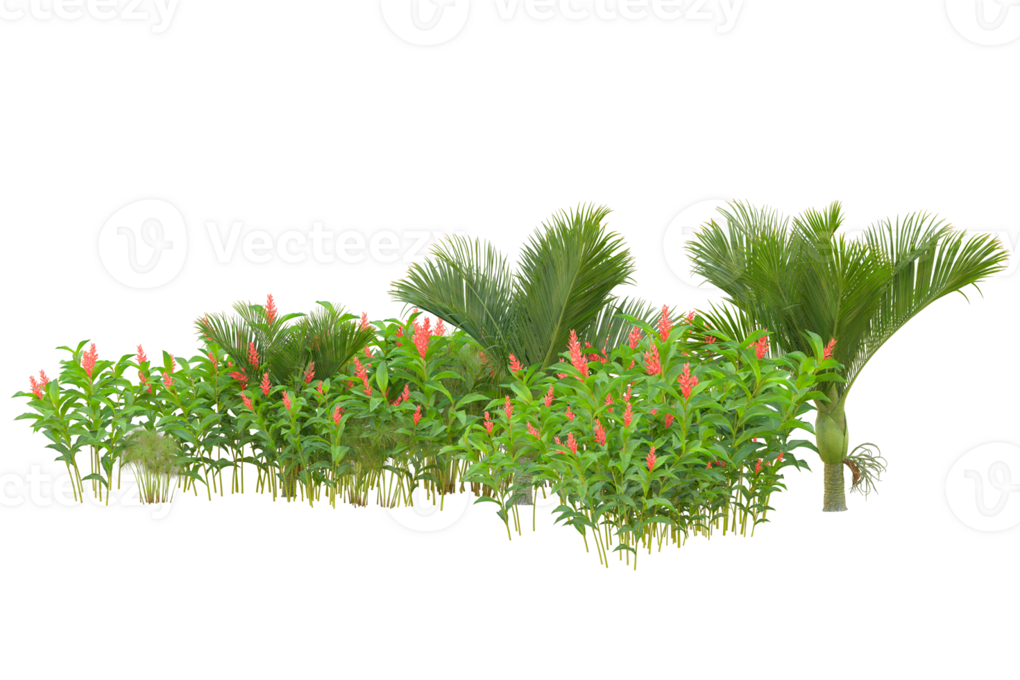 Tropical forest isolated on transparent background. 3d rendering - illustration png