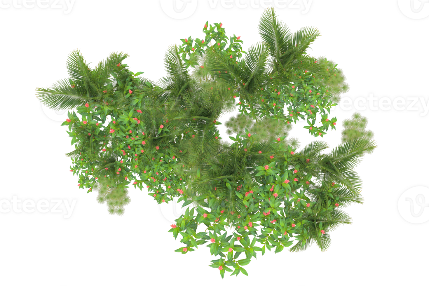 Tropical forest isolated on transparent background. 3d rendering - illustration png