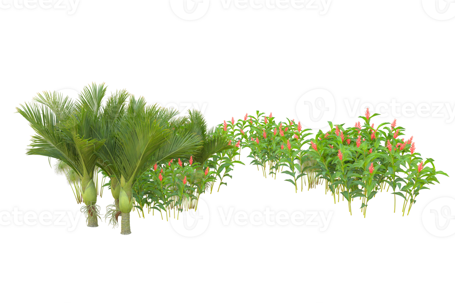 Tropical forest isolated on transparent background. 3d rendering - illustration png