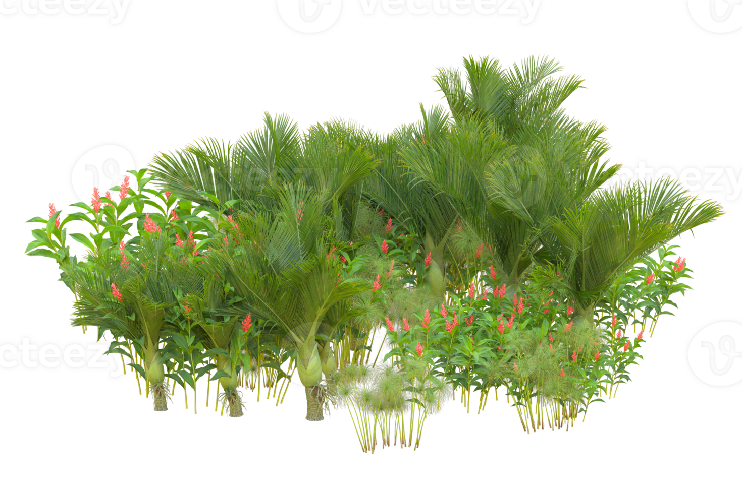 Tropical forest isolated on transparent background. 3d rendering - illustration png
