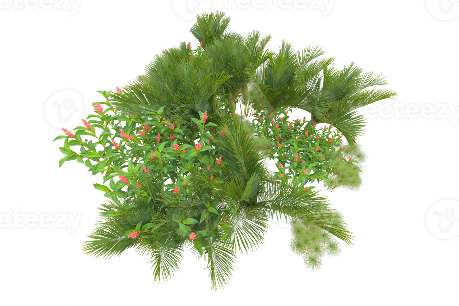Tropical forest isolated on transparent background. 3d rendering - illustration png