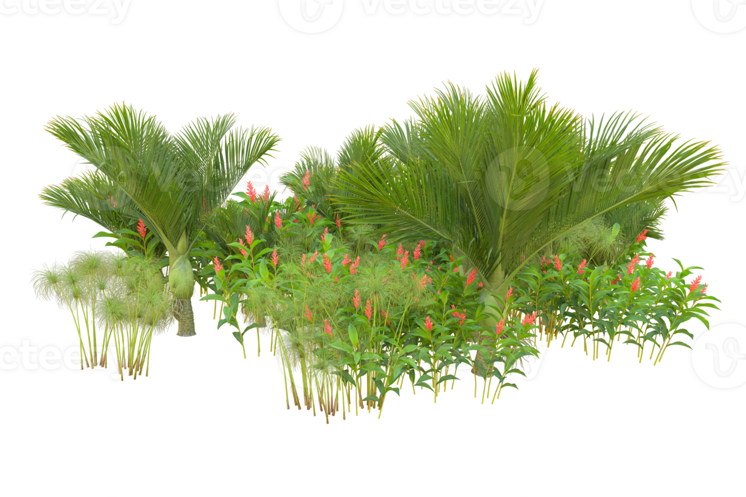 Tropical forest isolated on transparent background. 3d rendering - illustration png