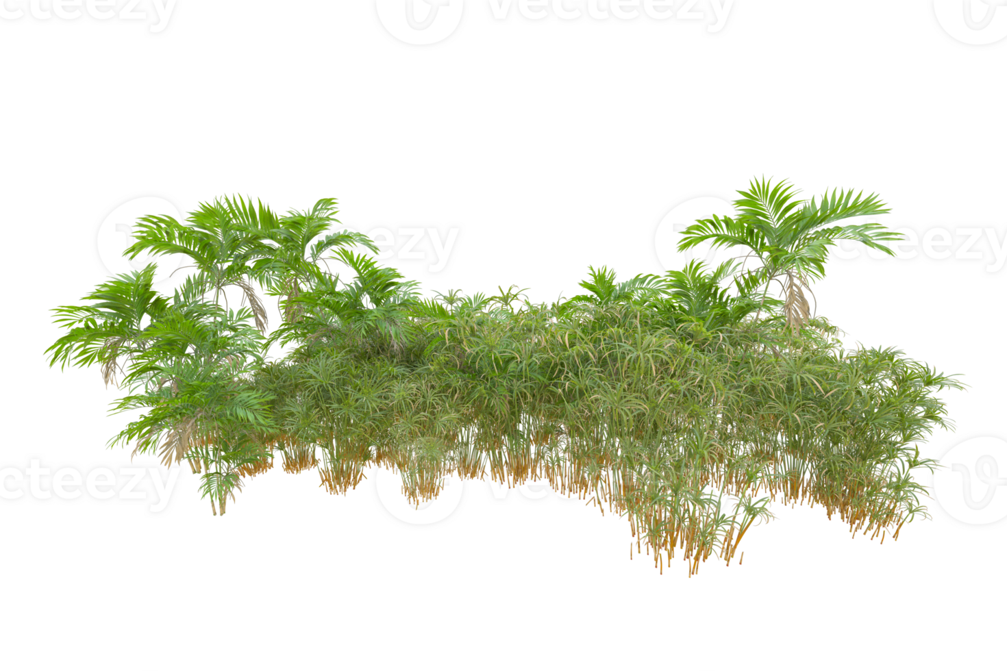 Tropical forest isolated on transparent background. 3d rendering - illustration png