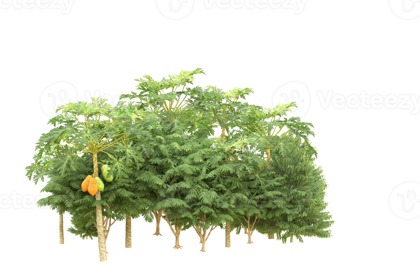 Realistic forest isolated on transparent background. 3d rendering - illustration png