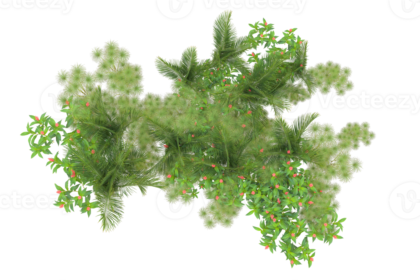 Tropical forest isolated on transparent background. 3d rendering - illustration png