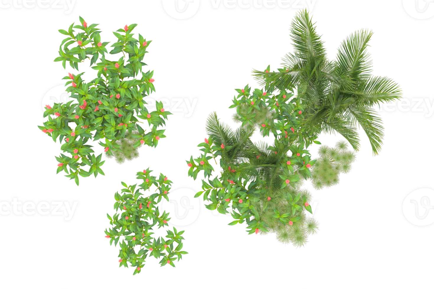 Tropical forest isolated on transparent background. 3d rendering - illustration png
