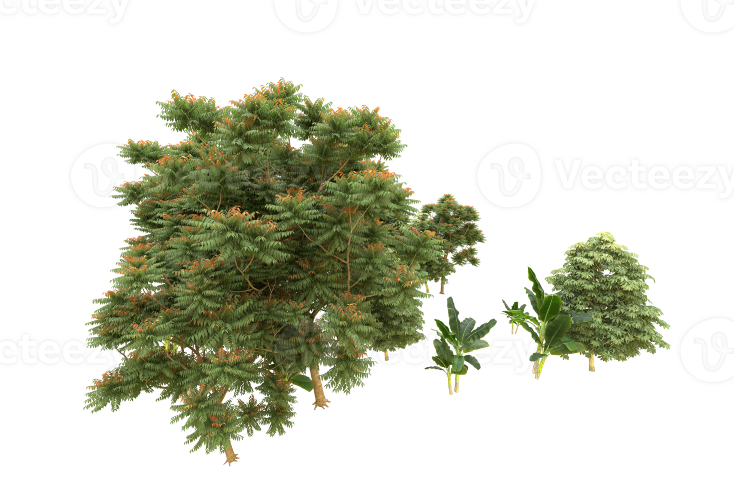 Realistic forest isolated on transparent background. 3d rendering - illustration png
