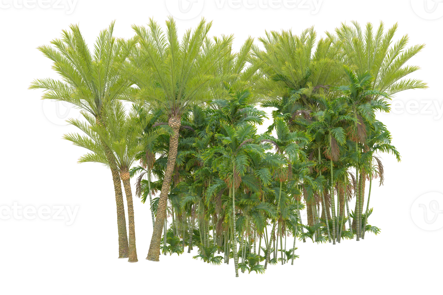 Realistic forest isolated on transparent background. 3d rendering - illustration png