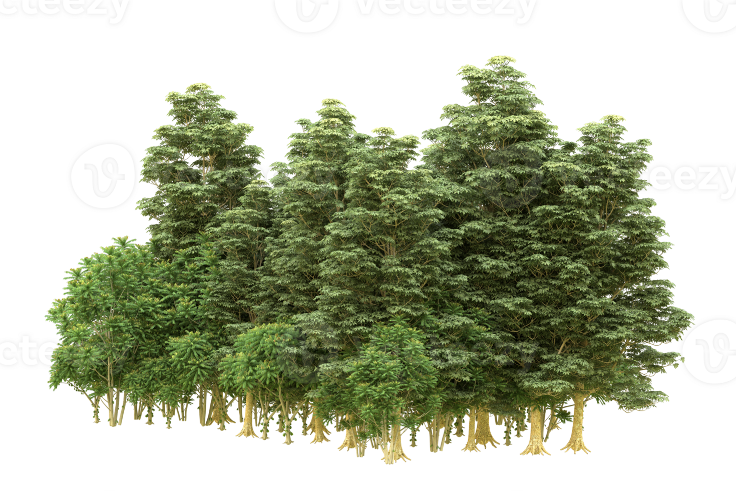 Realistic forest isolated on transparent background. 3d rendering - illustration png