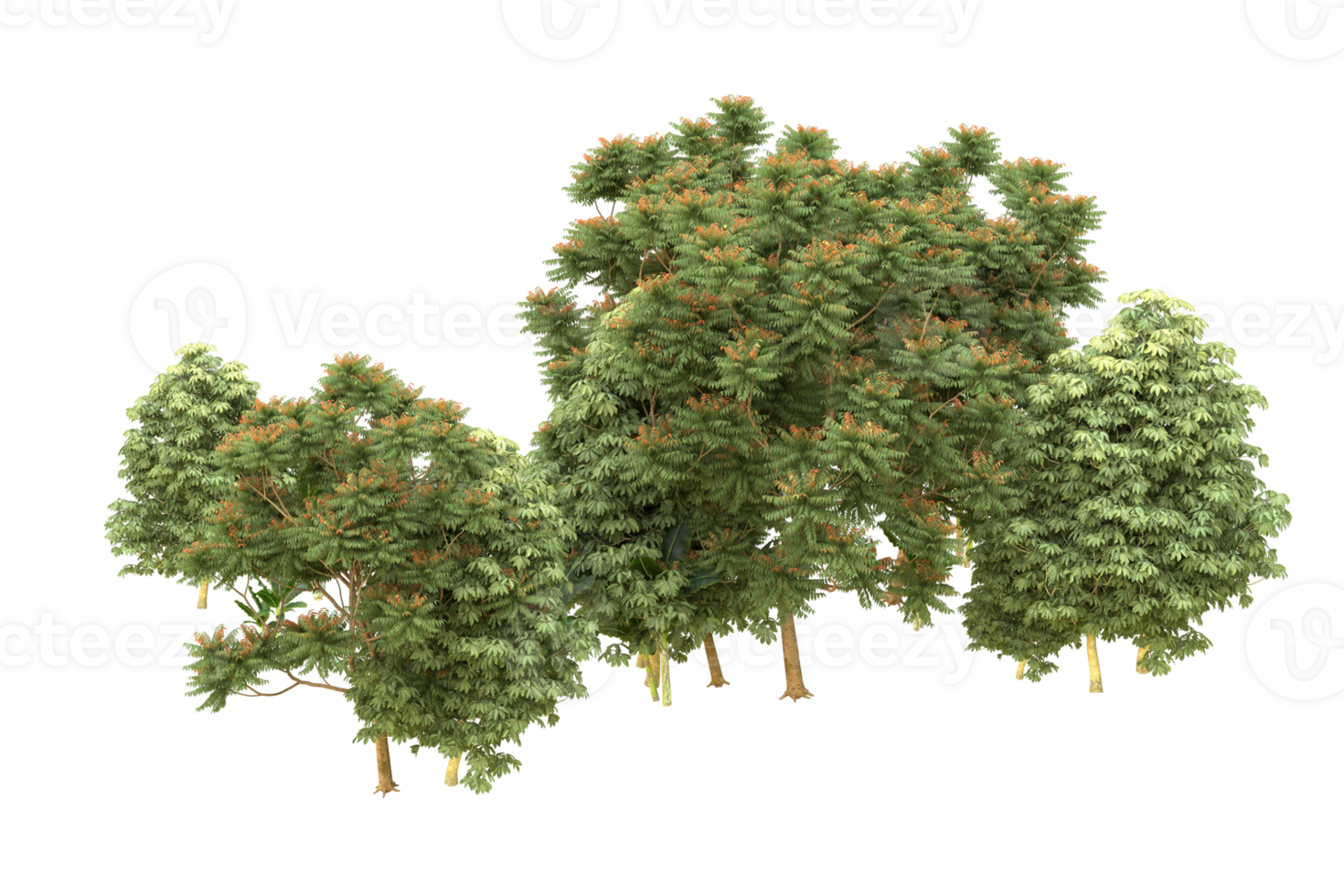 Realistic forest isolated on transparent background. 3d rendering - illustration png