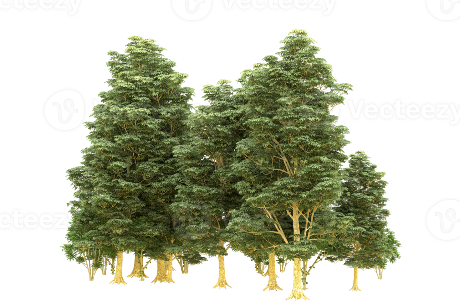 Realistic forest isolated on transparent background. 3d rendering - illustration png