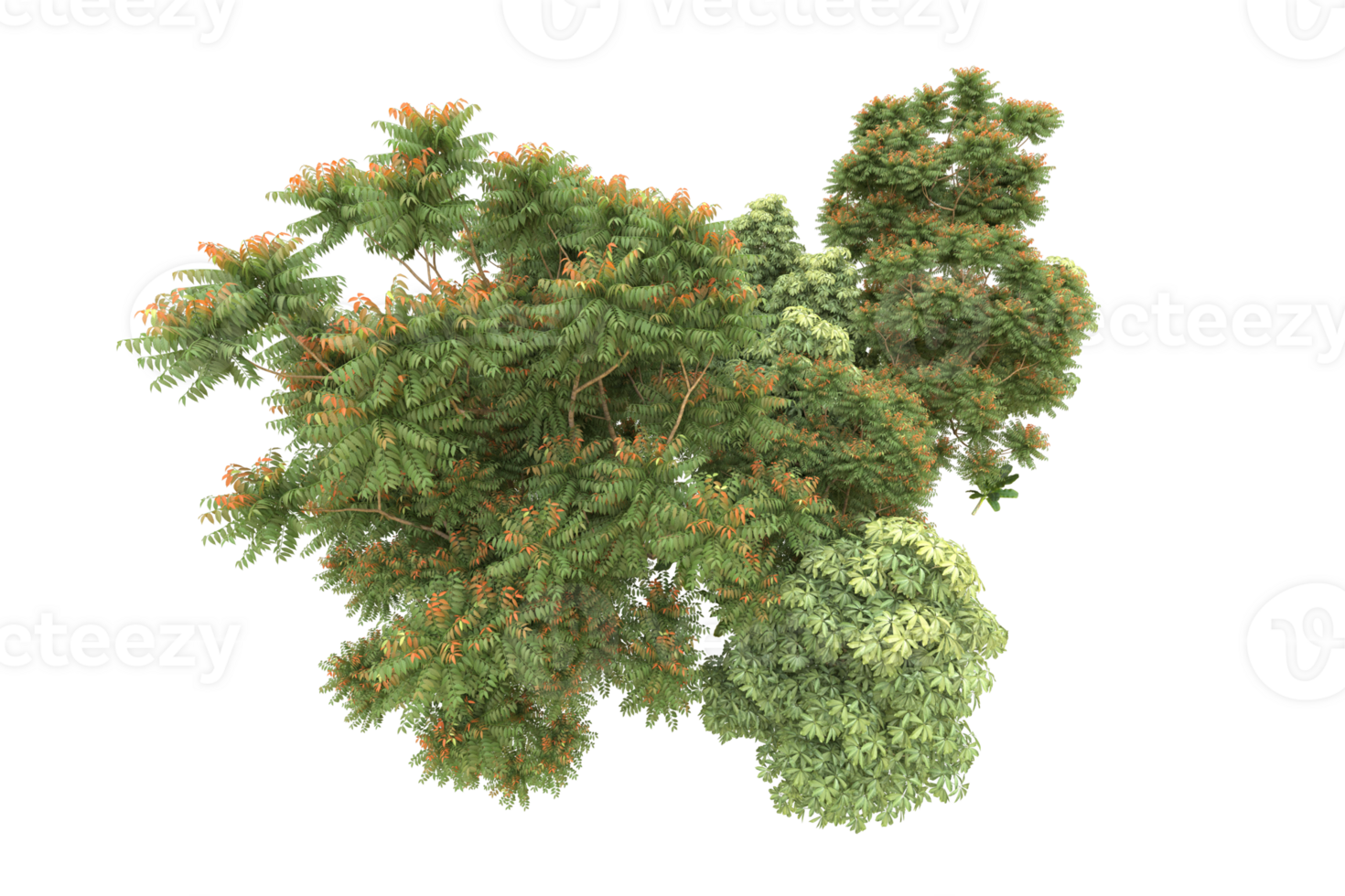 Realistic forest isolated on transparent background. 3d rendering - illustration png