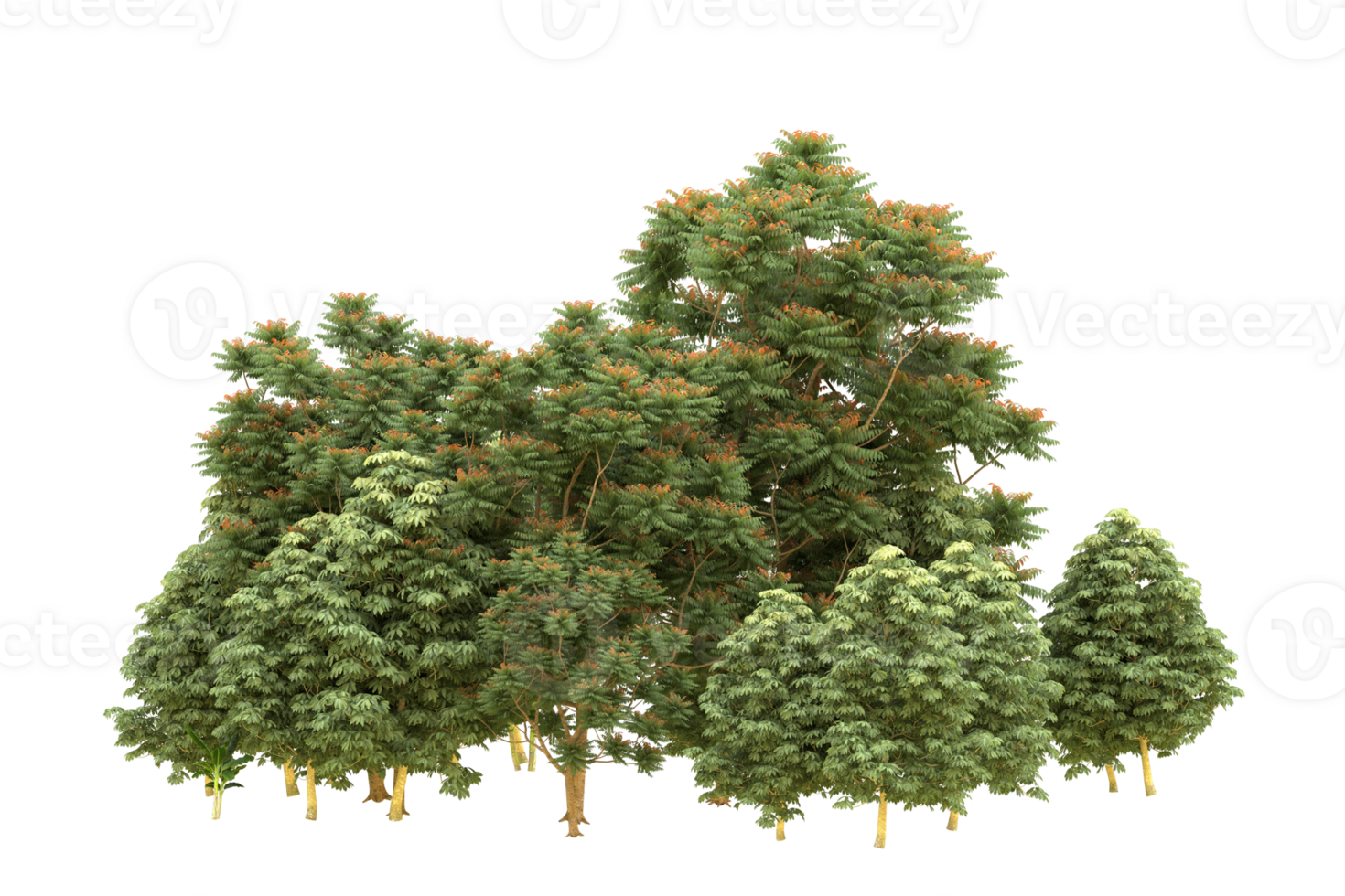 Realistic forest isolated on transparent background. 3d rendering - illustration png