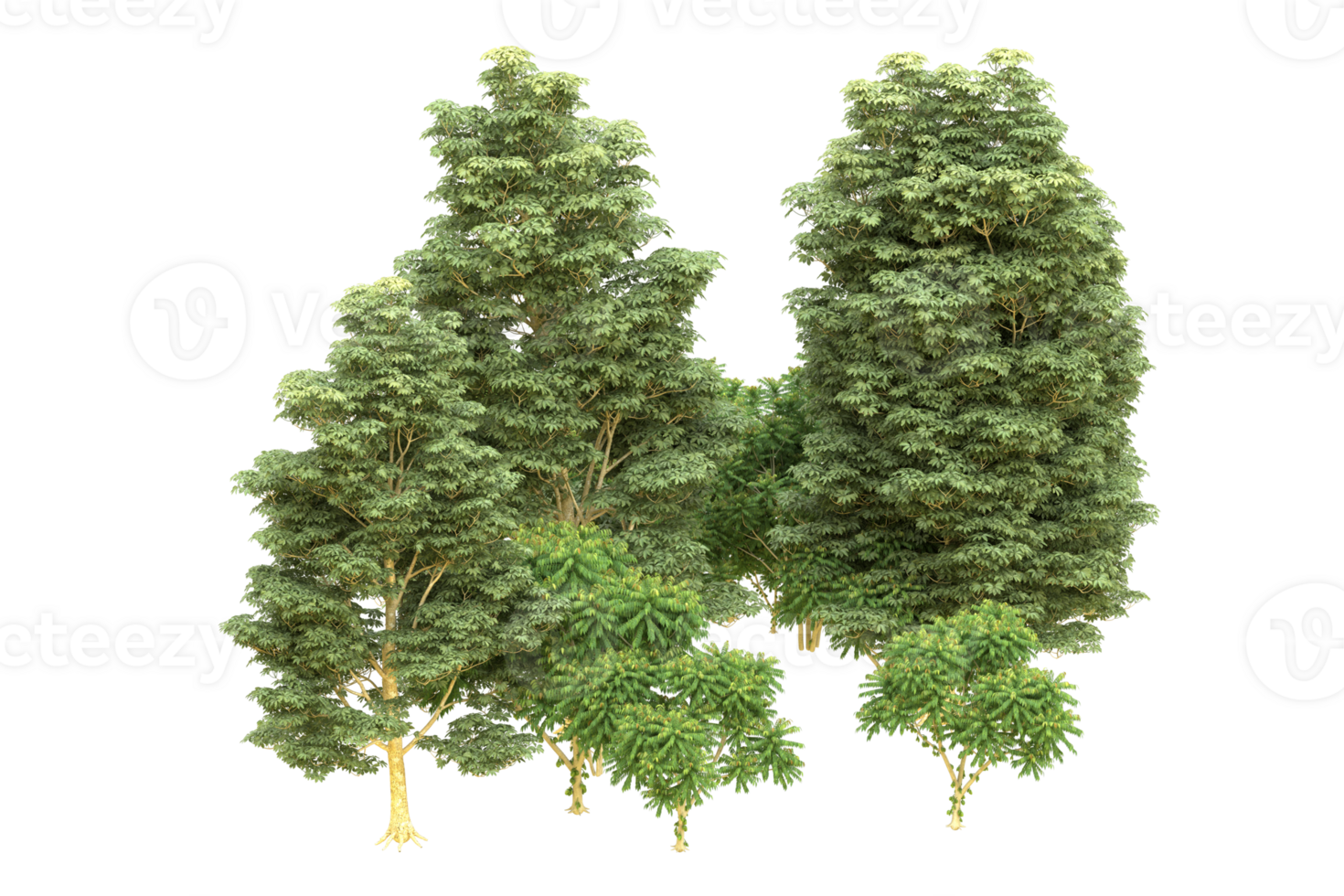 Realistic forest isolated on transparent background. 3d rendering - illustration png