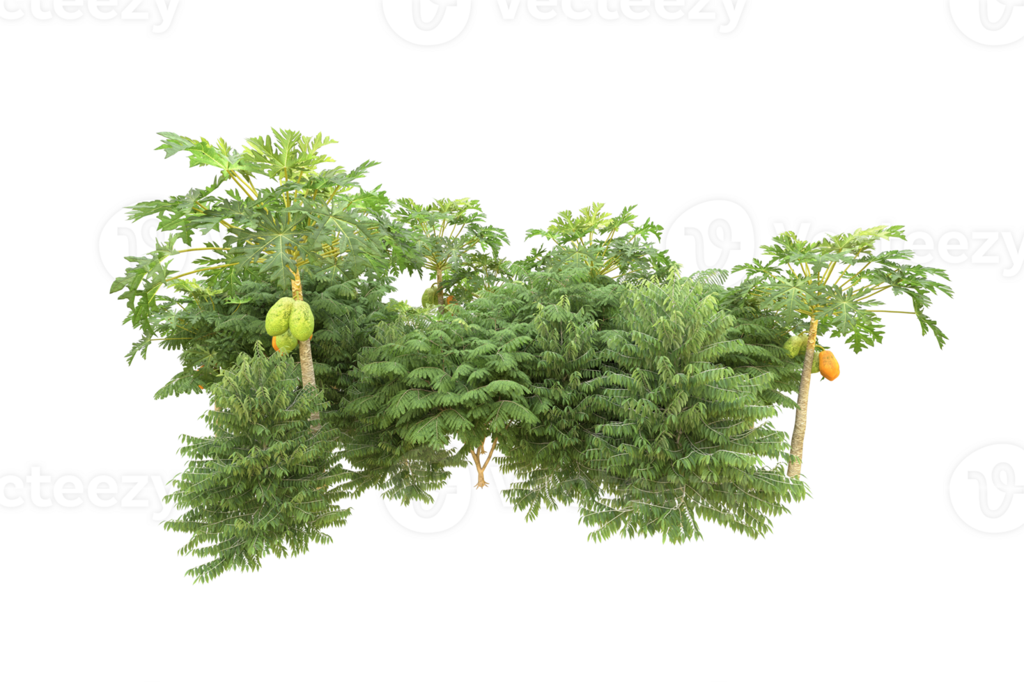 Realistic forest isolated on transparent background. 3d rendering - illustration png