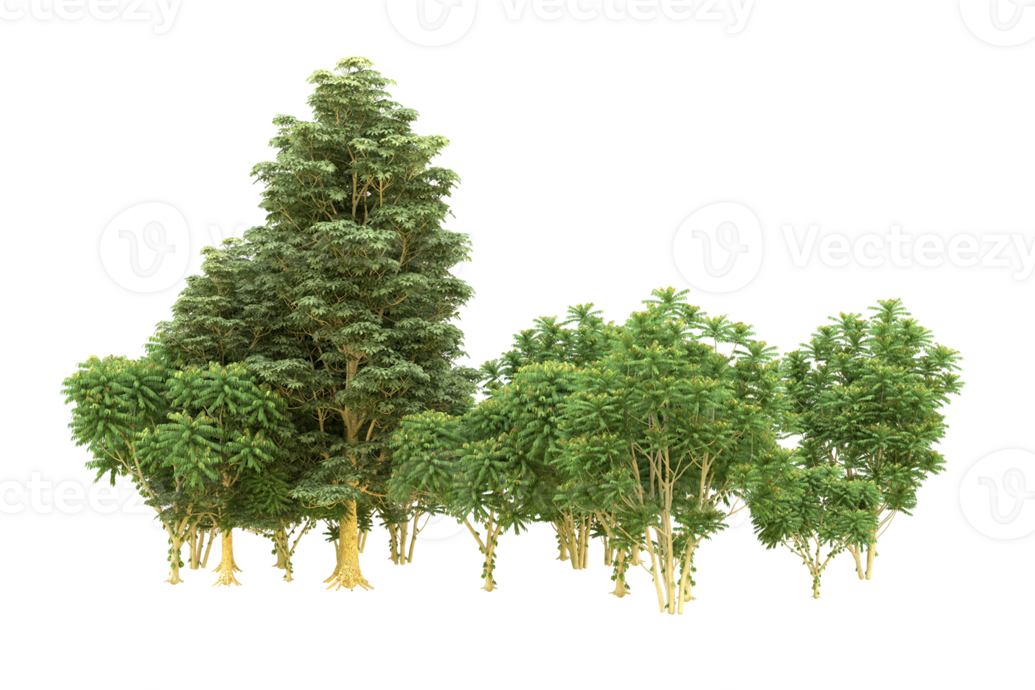 Realistic forest isolated on transparent background. 3d rendering - illustration png