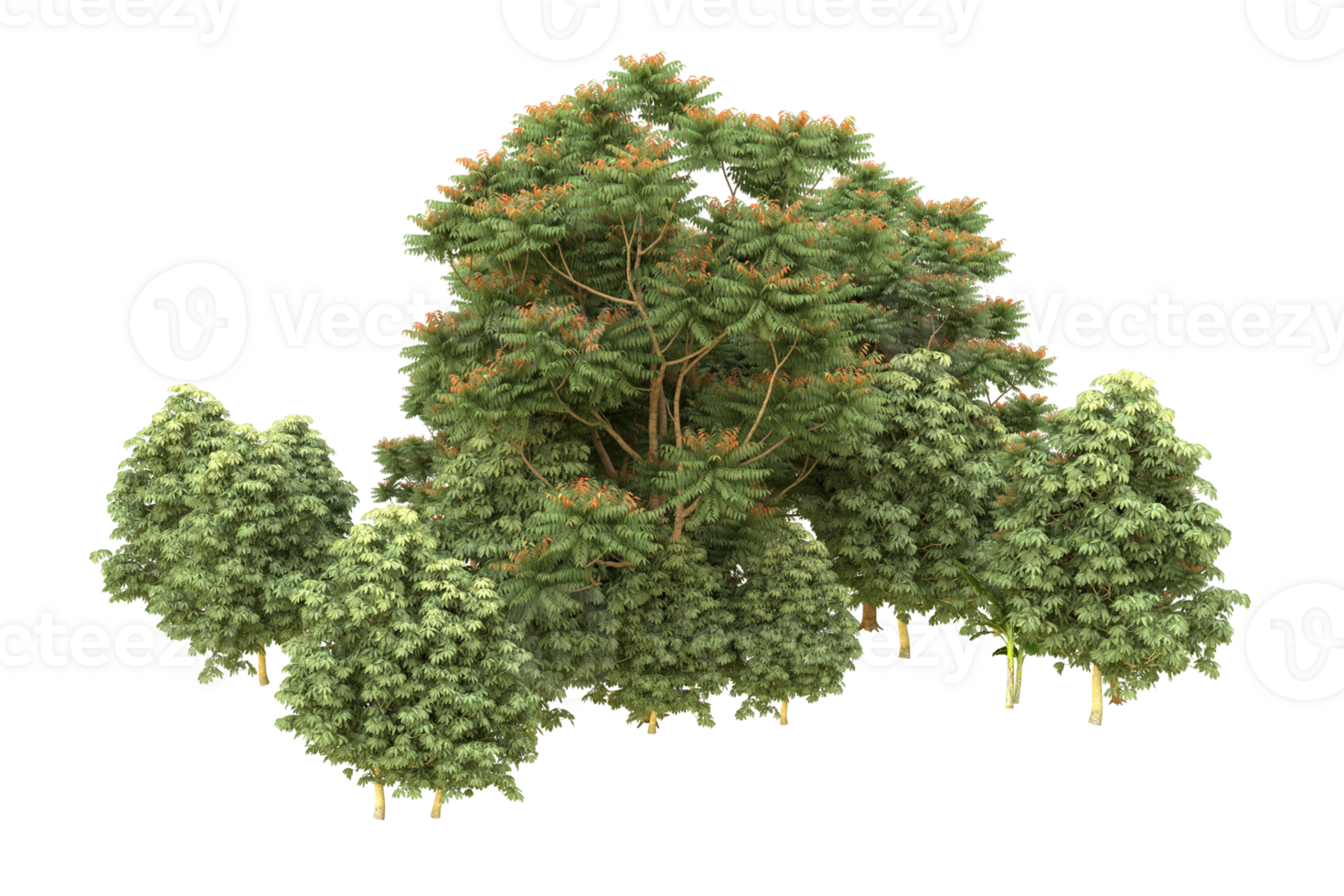 Realistic forest isolated on transparent background. 3d rendering - illustration png