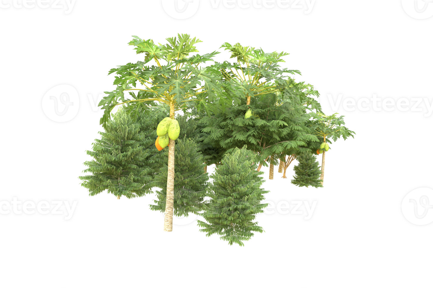 Realistic forest isolated on transparent background. 3d rendering - illustration png
