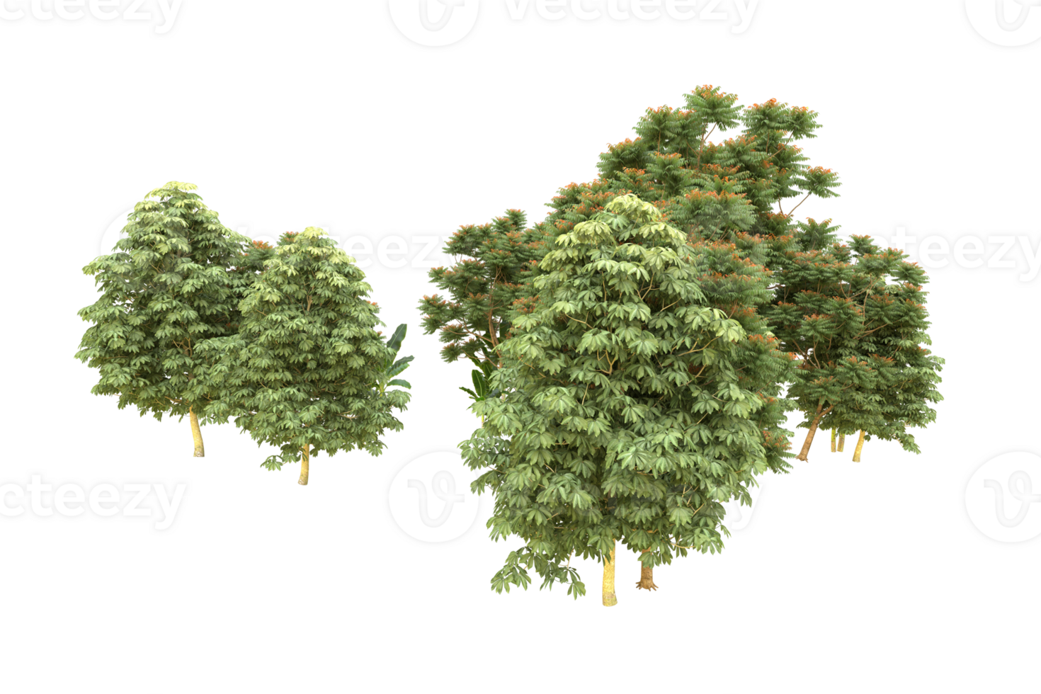 Realistic forest isolated on transparent background. 3d rendering - illustration png