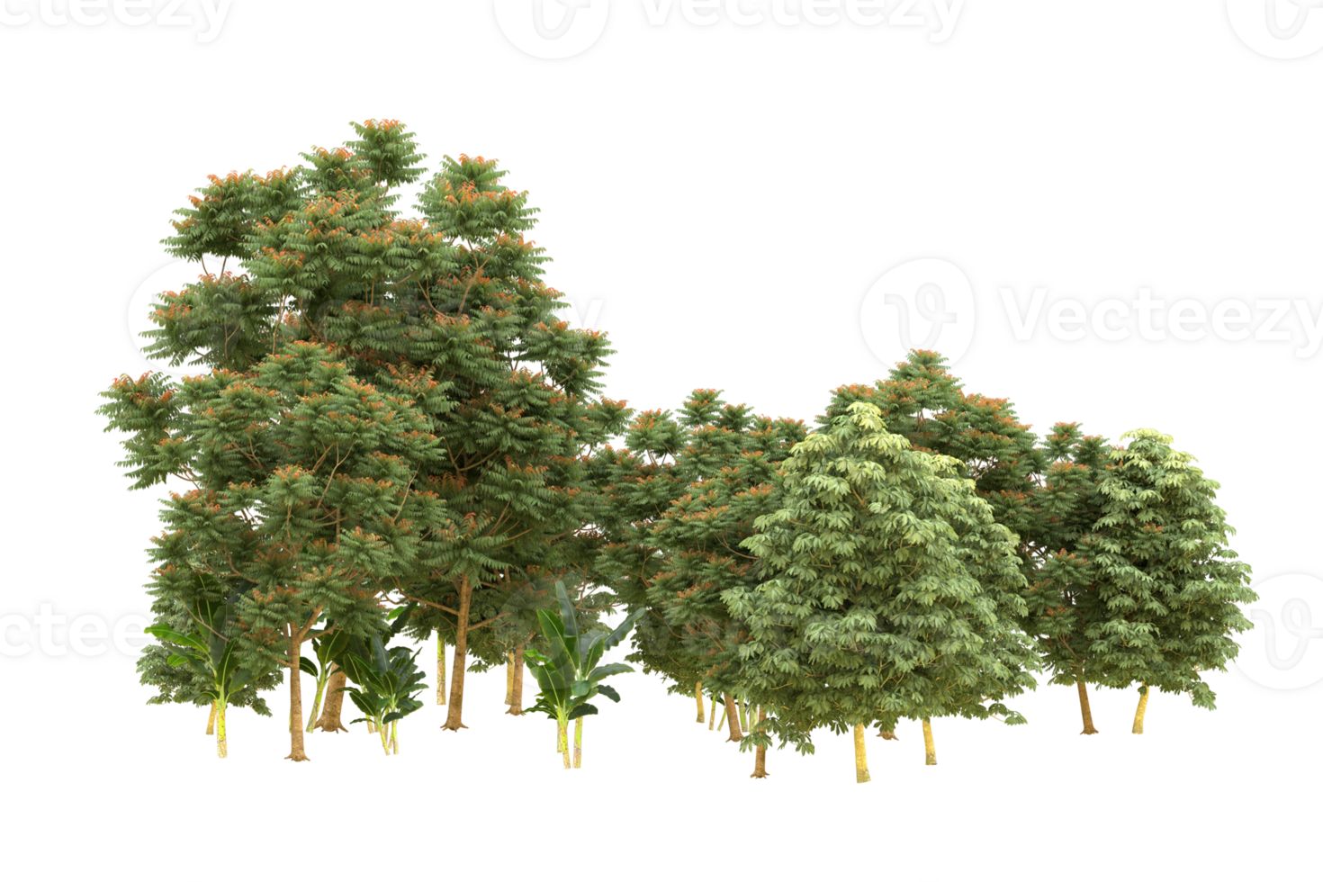 Realistic forest isolated on transparent background. 3d rendering - illustration png