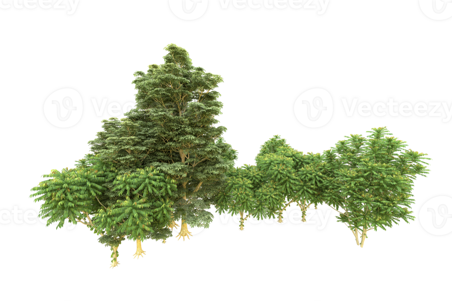 Realistic forest isolated on transparent background. 3d rendering - illustration png