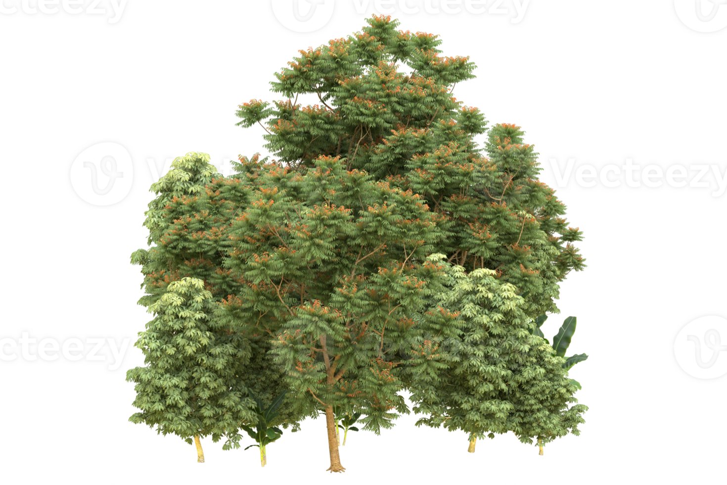 Realistic forest isolated on transparent background. 3d rendering - illustration png