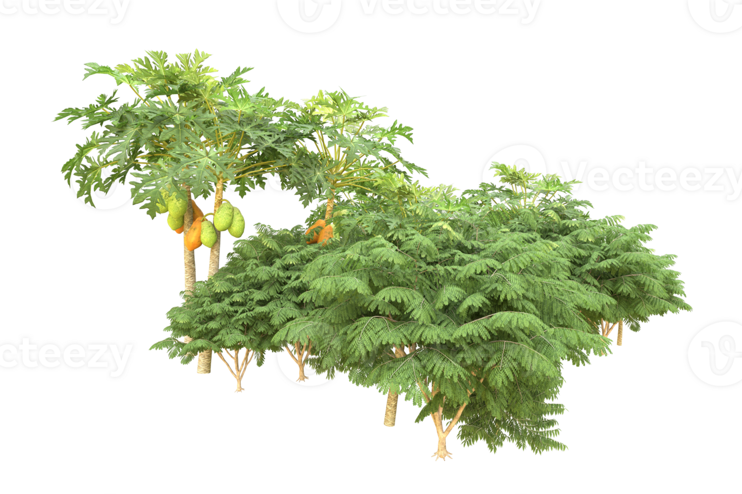 Realistic forest isolated on transparent background. 3d rendering - illustration png
