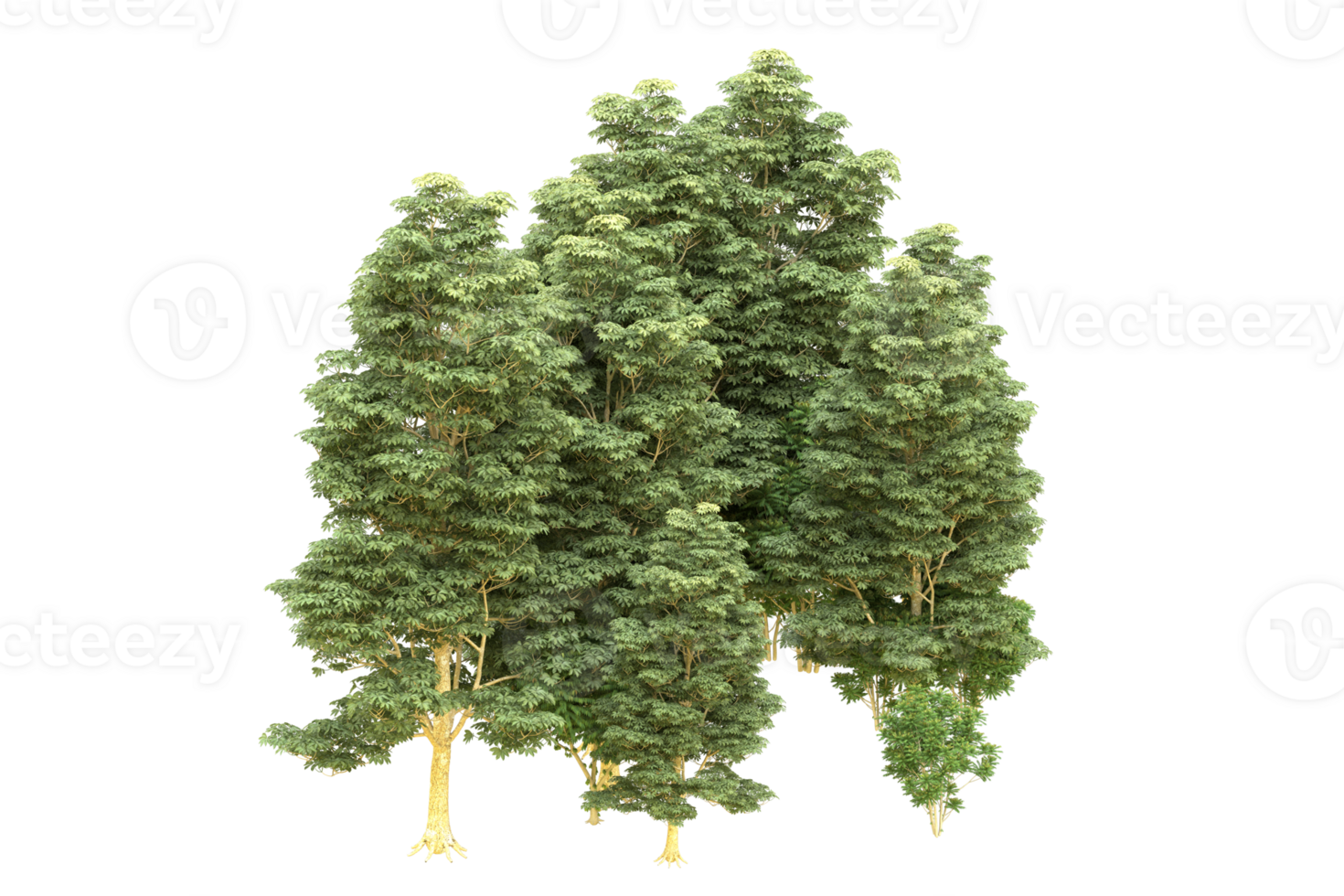 Realistic forest isolated on transparent background. 3d rendering - illustration png