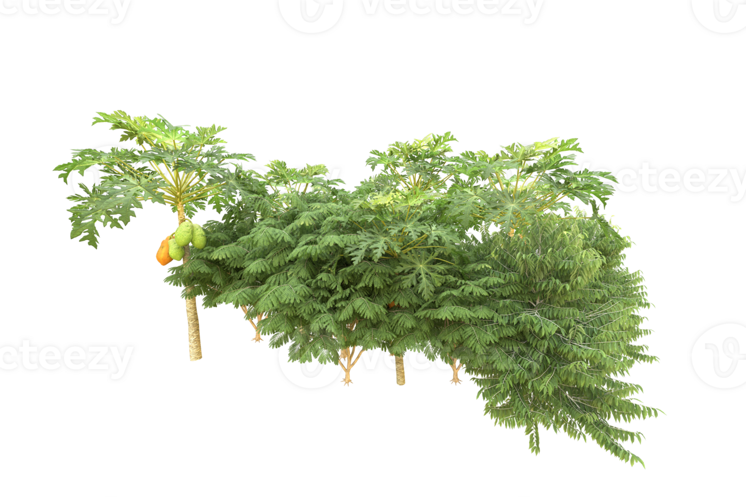 Realistic forest isolated on transparent background. 3d rendering - illustration png