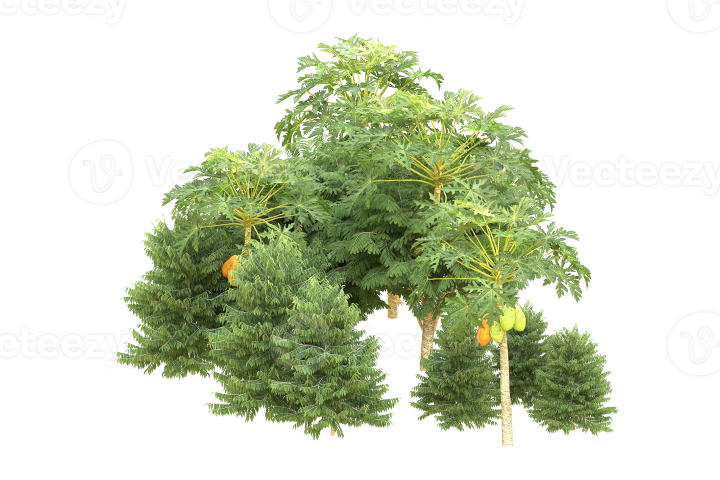 Realistic forest isolated on transparent background. 3d rendering - illustration png
