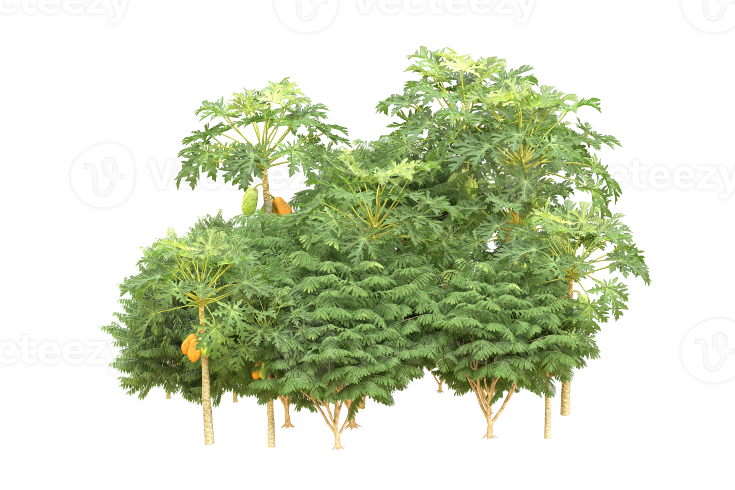Realistic forest isolated on transparent background. 3d rendering - illustration png